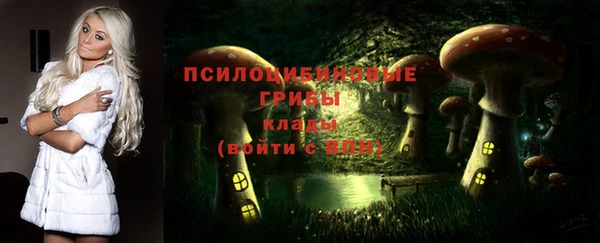 СК Новодвинск