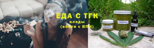 СК Новодвинск