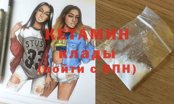 СК Новодвинск
