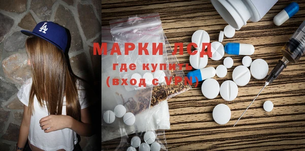 СК Новодвинск