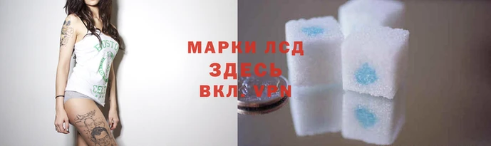 СК Новодвинск