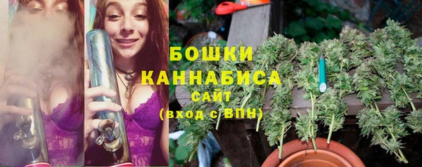 СК Новодвинск