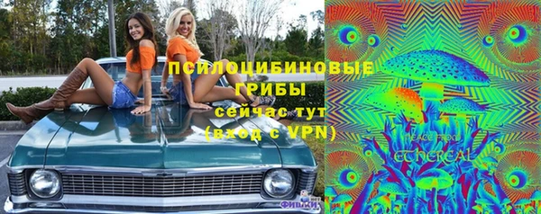 СК Новодвинск