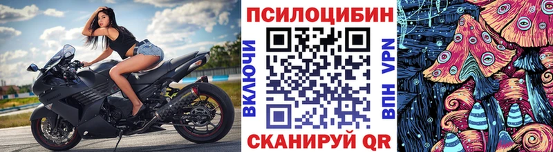 закладка  Суздаль  Псилоцибиновые грибы мицелий 