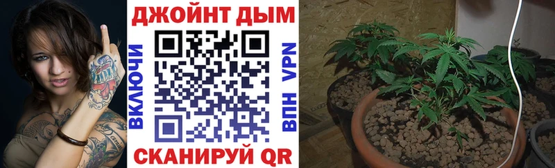 kraken онион  Суздаль  Каннабис Ganja 